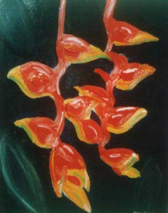 Heliconia